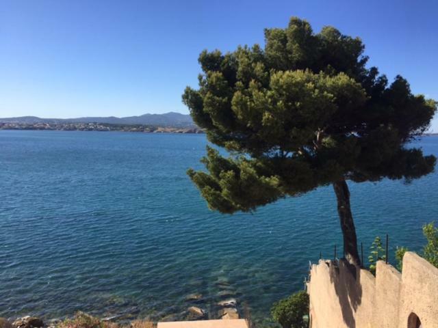 Sanary Διαμέρισμα Εξωτερικό φωτογραφία