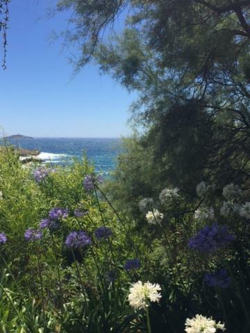 Sanary Διαμέρισμα Εξωτερικό φωτογραφία